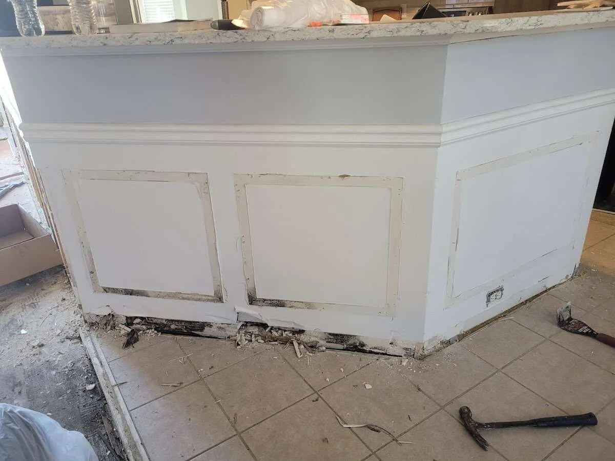 Water damage and mold on kitchen during Sewage Cleanup & Sanitation in London